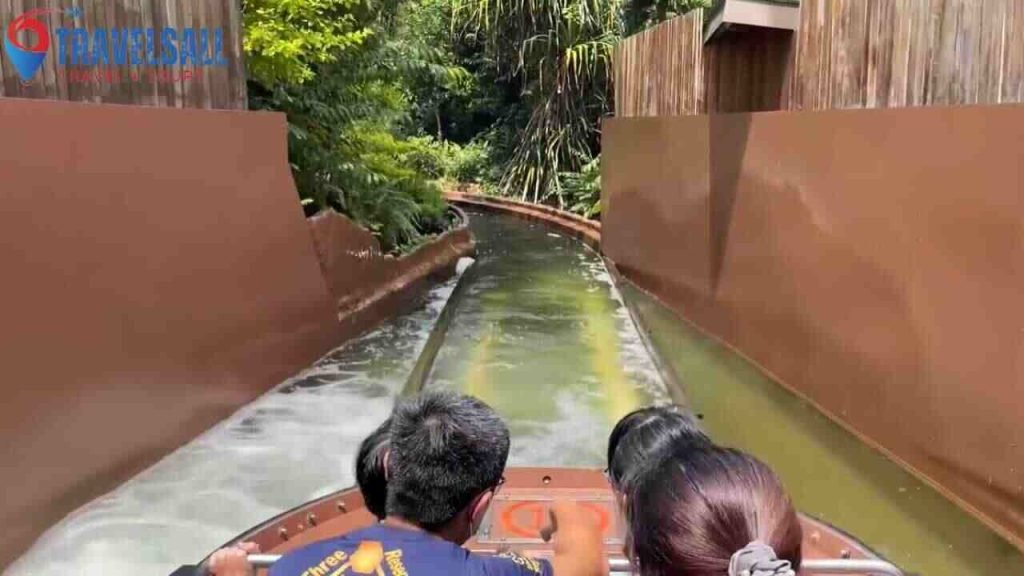 The Scenic Route: River Safari Cruise
