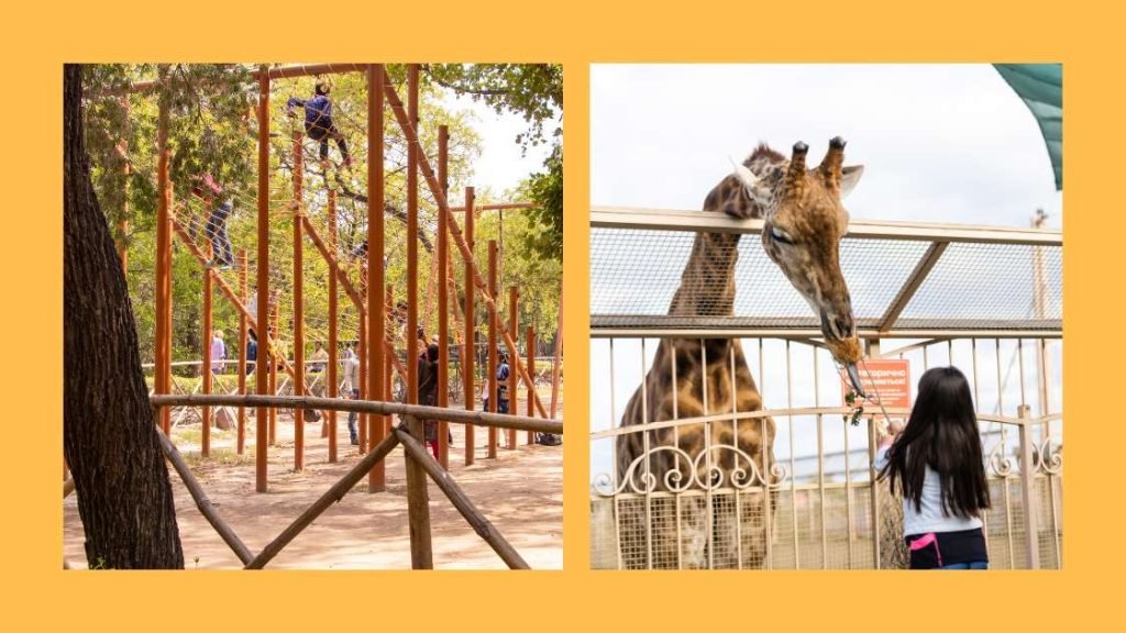 Safety Concerns For Visitors