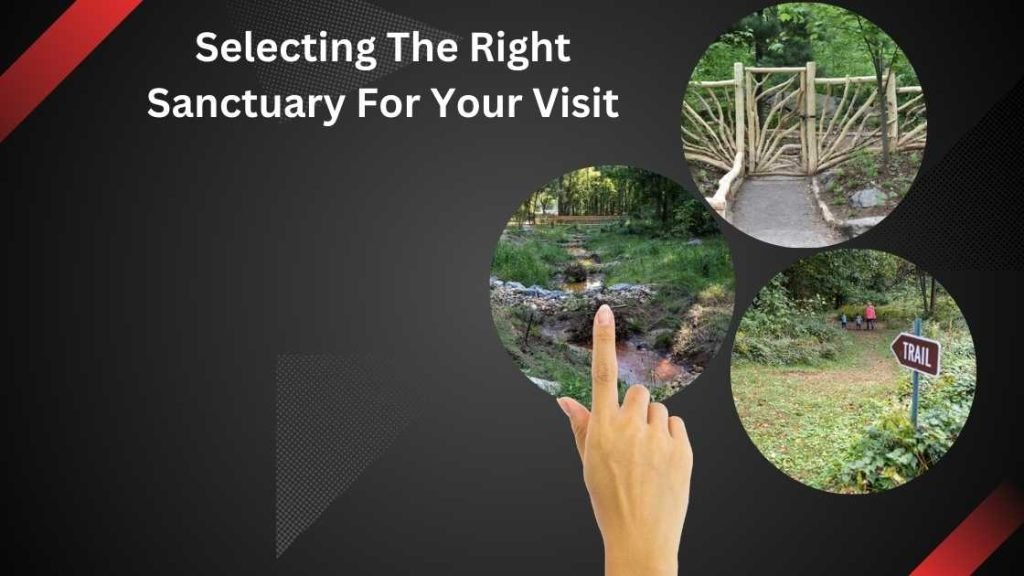 Selecting The Right Sanctuary For Your Visit