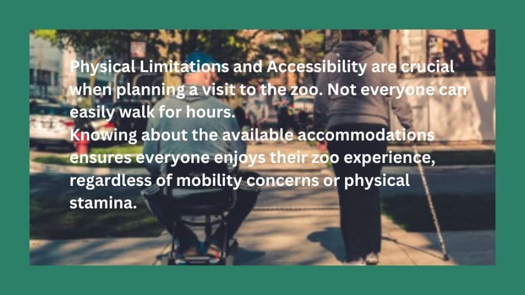 Physical Limitations And Accessibility