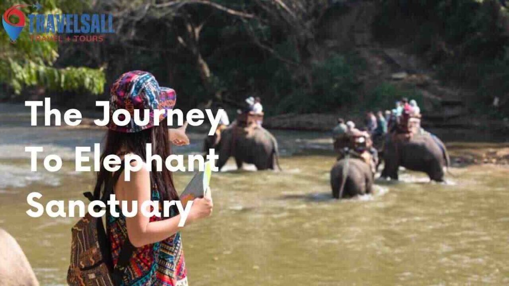 Starting On The Journey To Elephant Sanctuary