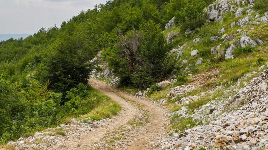 The Lure Of National Parks