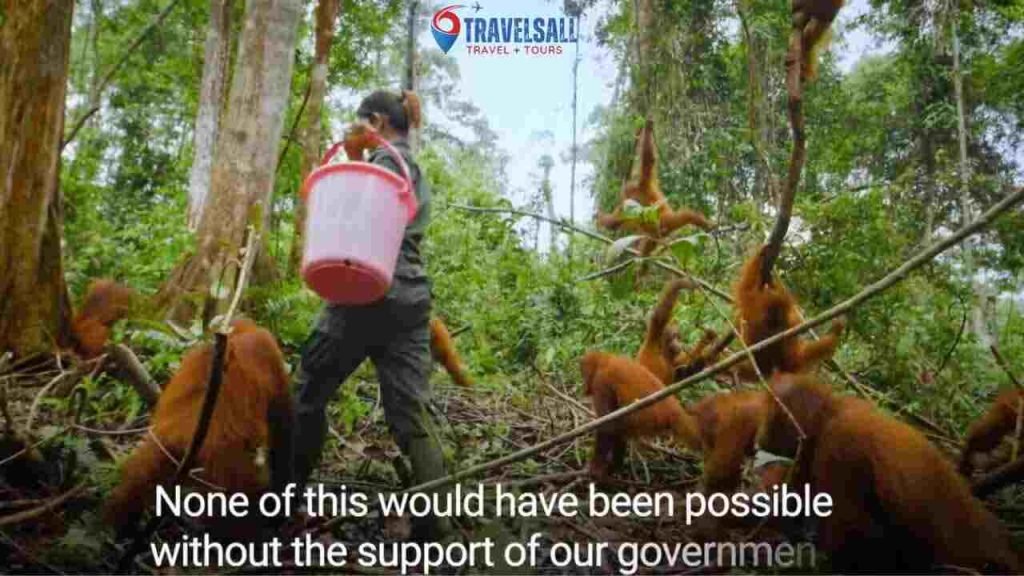 Extend Your Impact: Conservation And Volunteerism