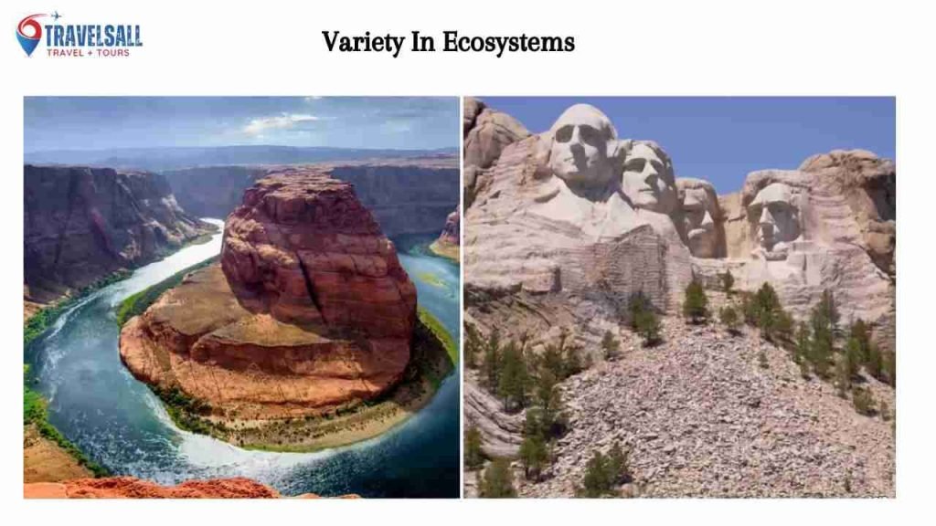 Variety In Ecosystems