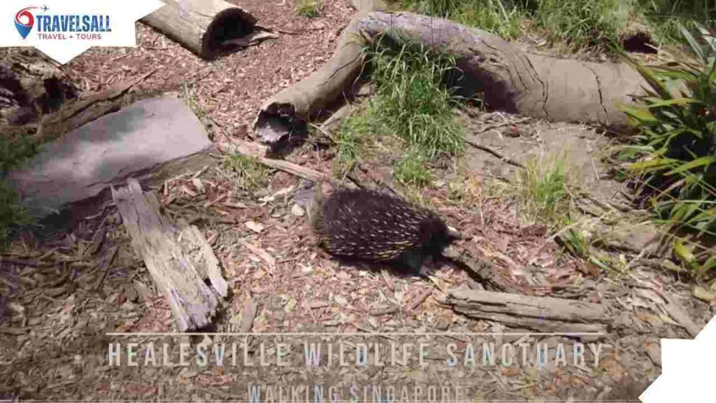 How Many People Visit Healesville Sanctuary?