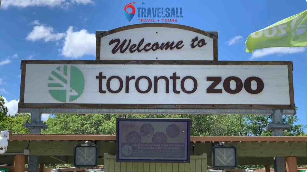When is the Best Time to Visit Toronto Zoo?