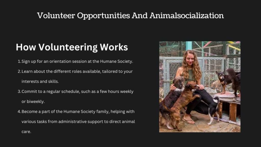 How Volunteering Works