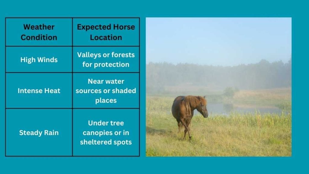 Weather On Horse Sightings