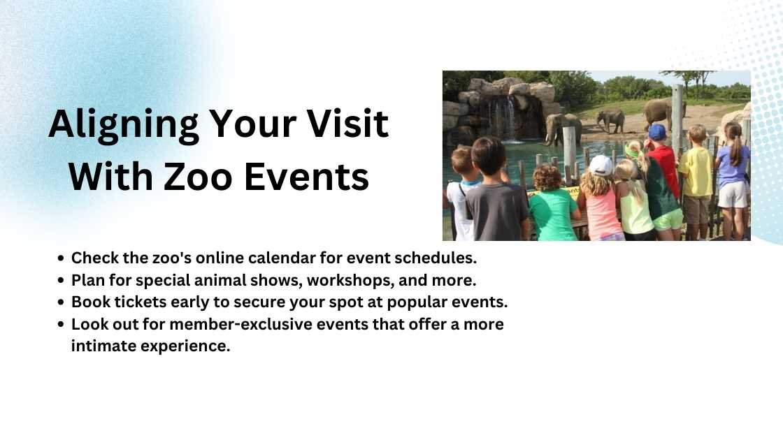 Aligning Your Visit With Zoo Events