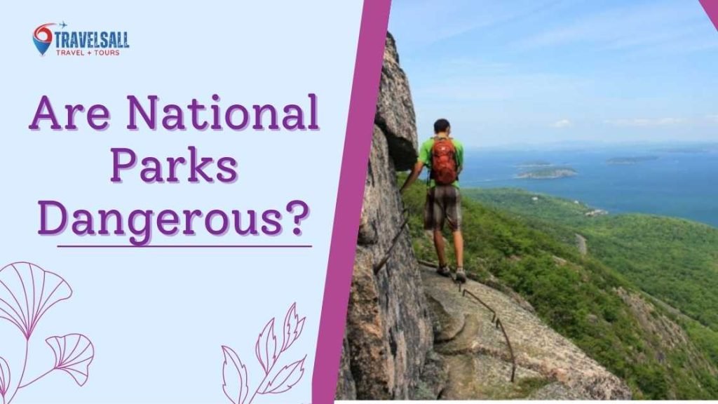 Are National Parks Dangerous