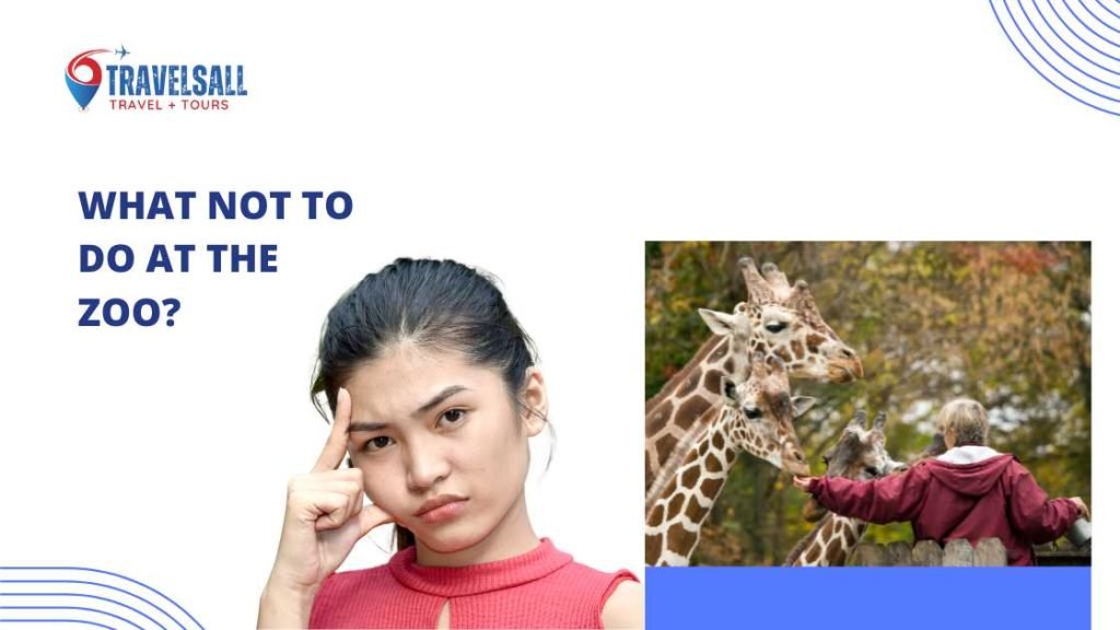 What Not to Do at the Zoo