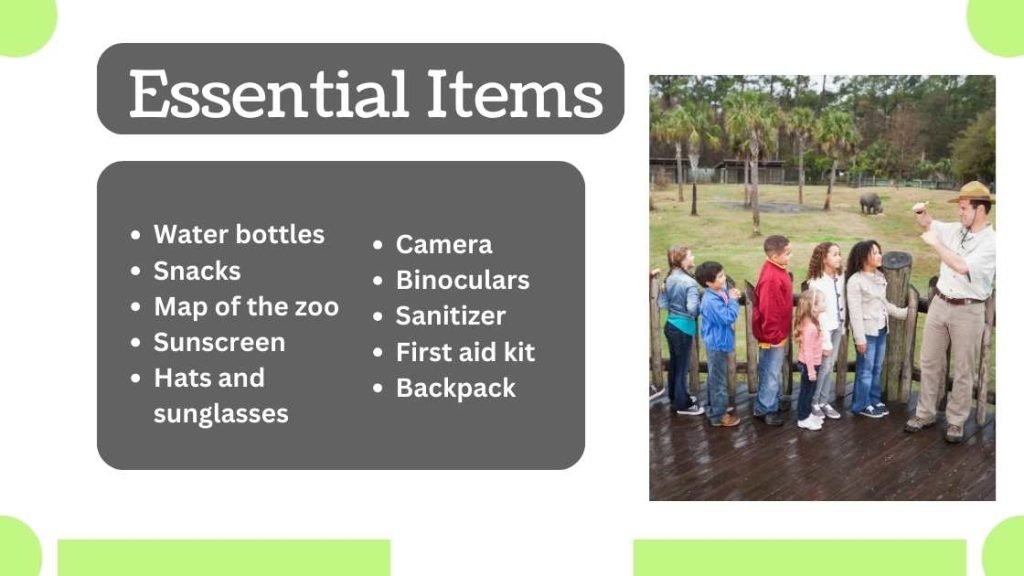 Essential Items