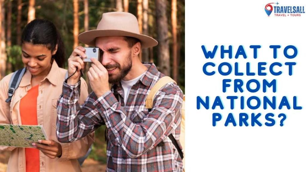 What to Collect from National Parks?