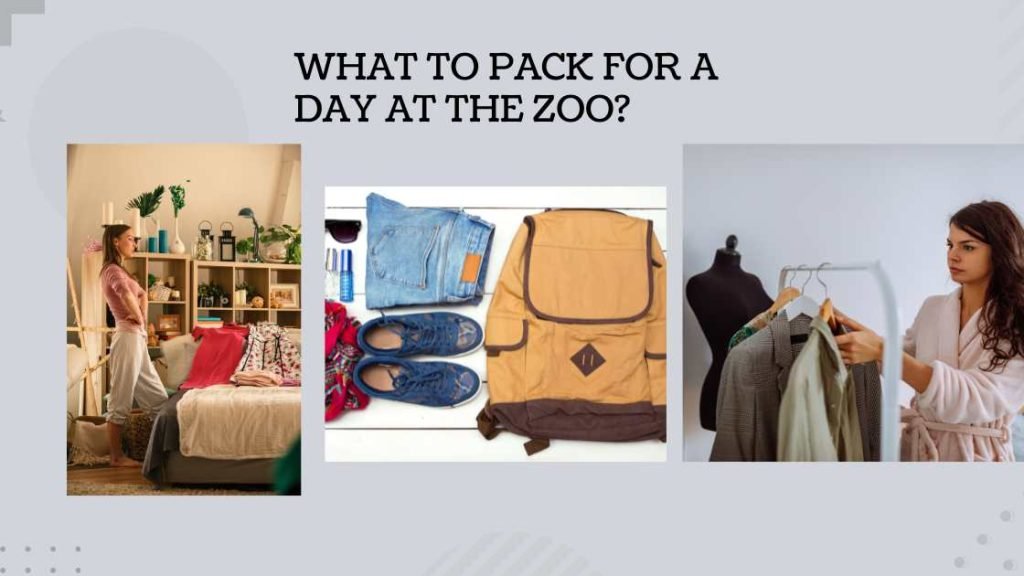 What to Pack for a Day at the Zoo