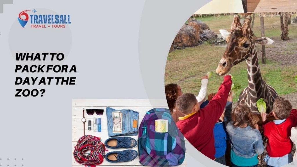 What to Pack for a Day at the Zoo