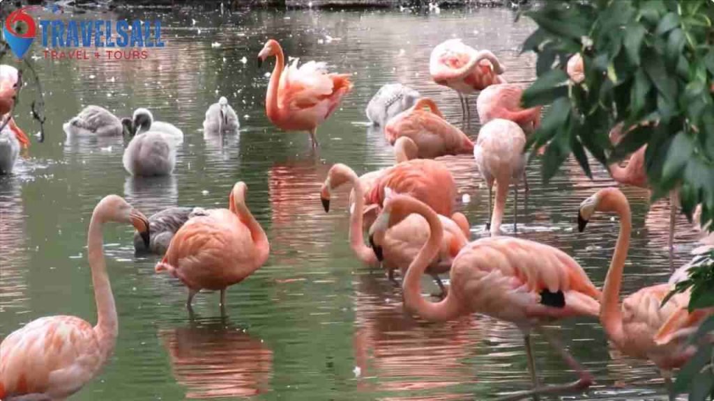 Chester Zoo Unveiled