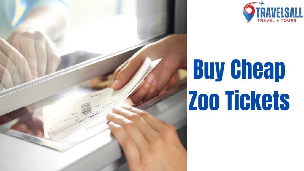Where to Buy Cheap Zoo Tickets?