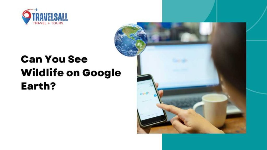 Can You See Wildlife on Google Earth