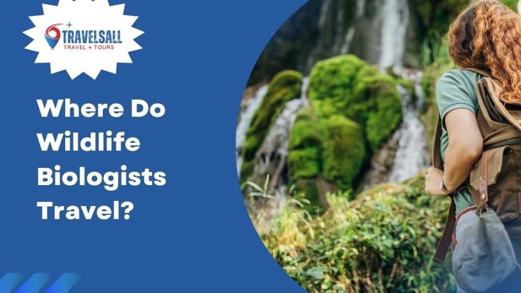 Where Do Wildlife Biologists Travel