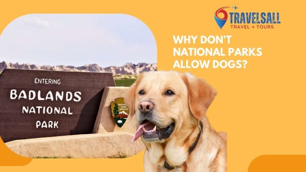 Why Don't National Parks Allow Dogs