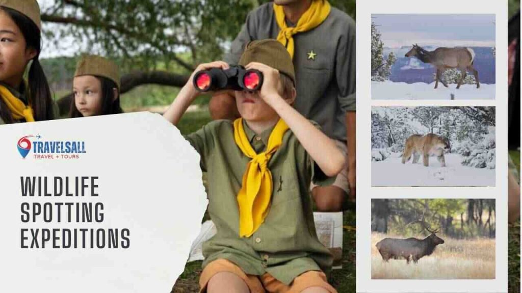 Wildlife Spotting Expeditions