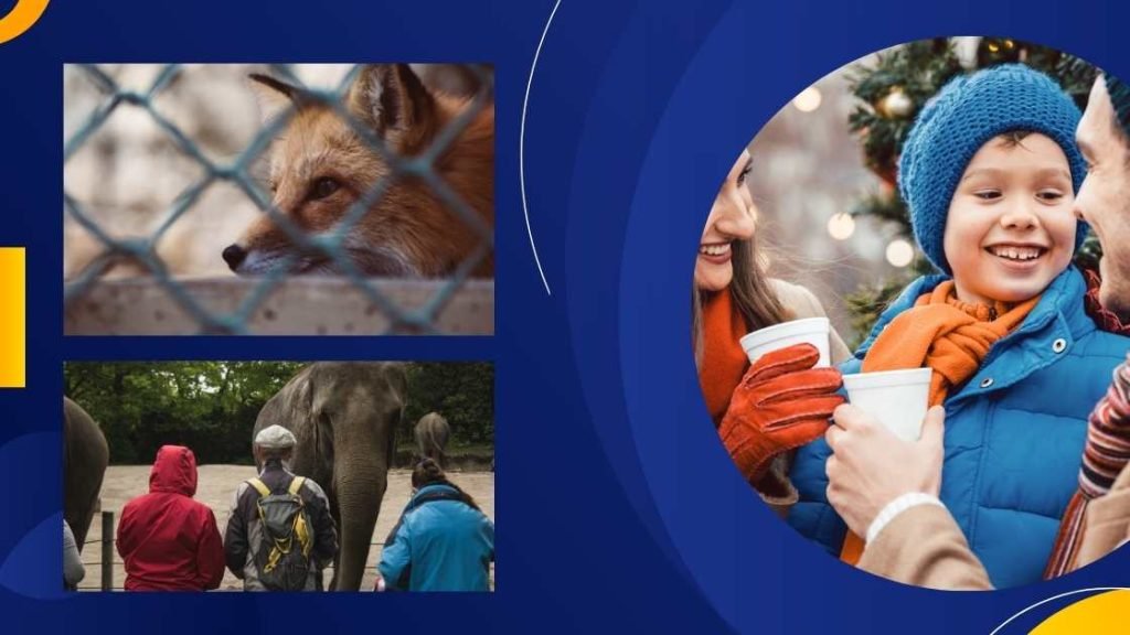 Winter Zoo Visits