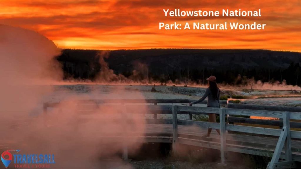Yellowstone National Park: A Natural Wonder