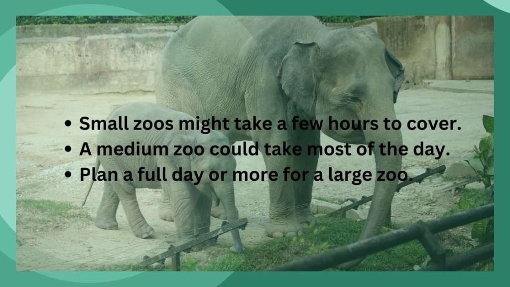 Zoo Dimensions
