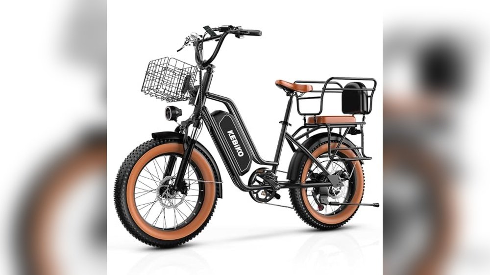 Best Cargo Ebike